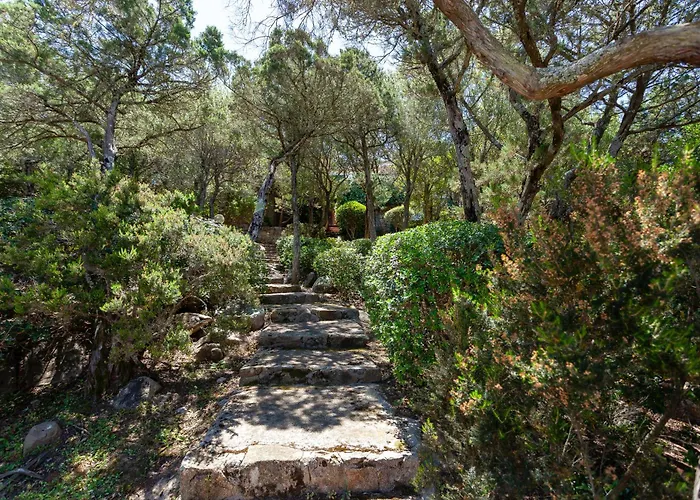 Artstay - Free Parking, Ac, Sea View, Near The Porto Rotondo